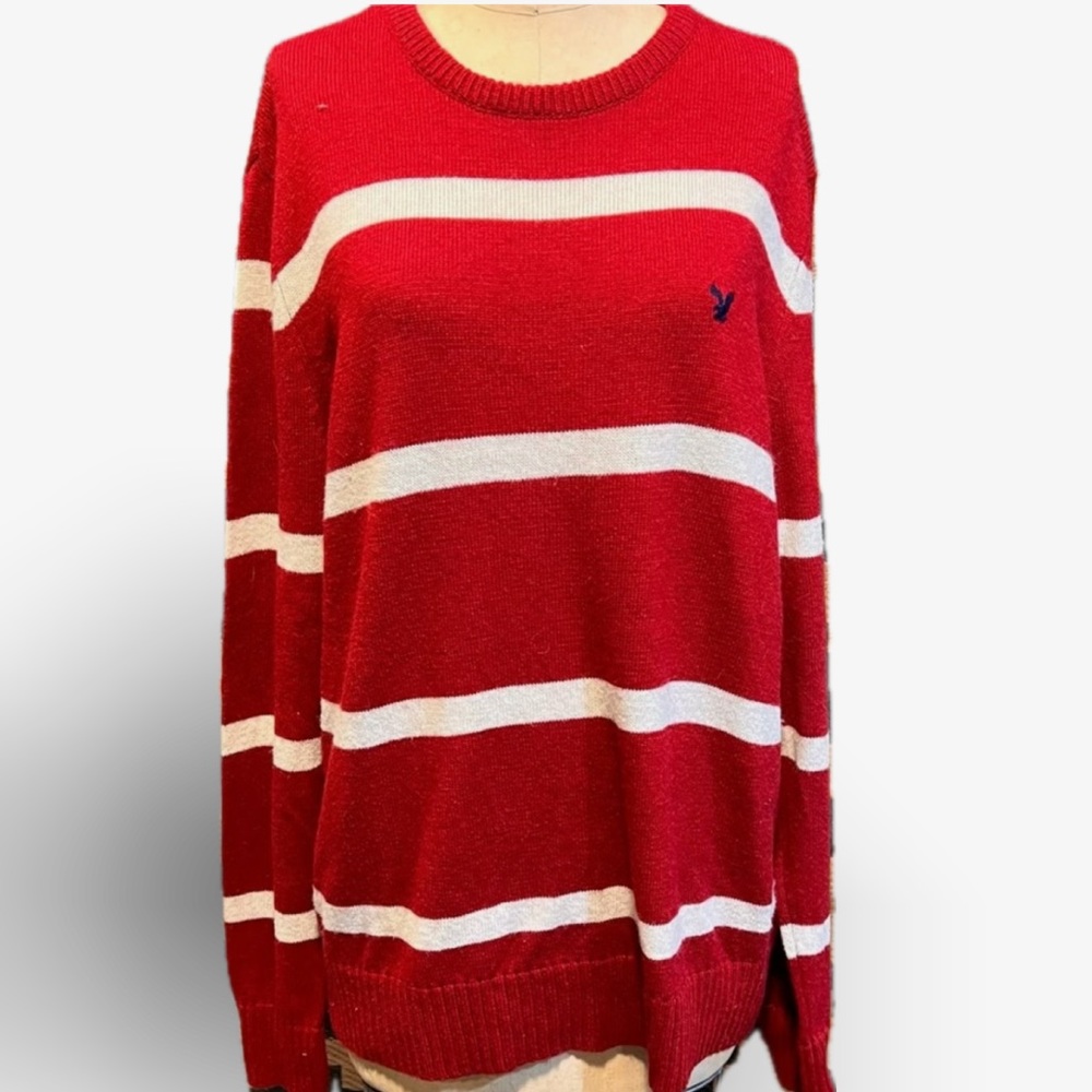 American Eagle crewneck knit sweater athletic fit washable wool blend striped